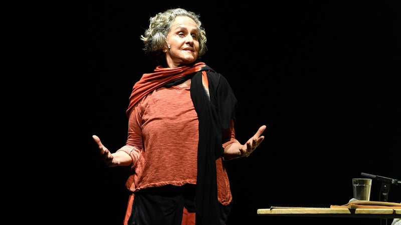 Regina Braga mostra sua paixão pela cidade de São Paulo com textos e 'pitacos' em peça com direção de Isabel Teixeira - Fotos: Roberto Setton/Divulgação