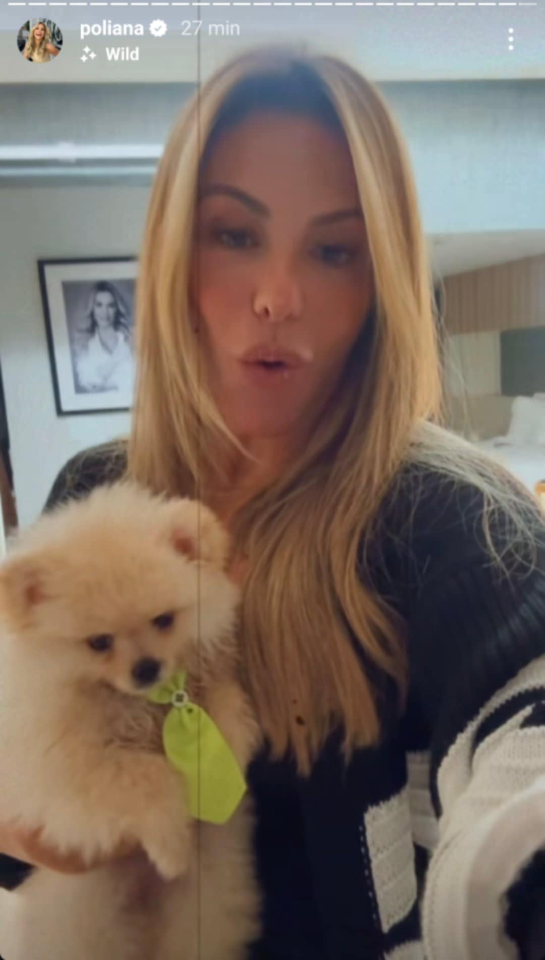 Poliana Rocha ganha cachorro
